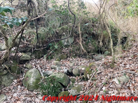 松林寺跡に残る石垣らしき石積