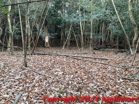 松林寺跡に残る削平地