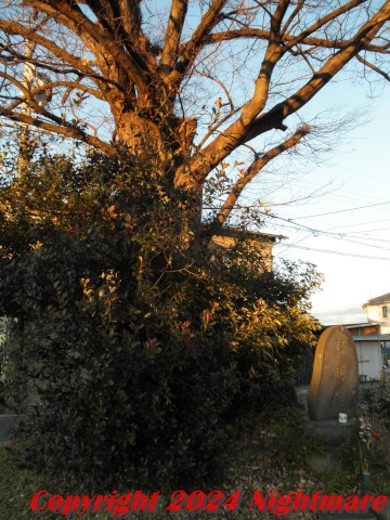 甚目寺の晴明塚