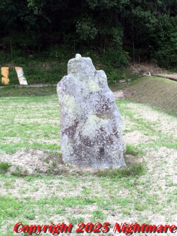 田圃の中に立つ笠石さん